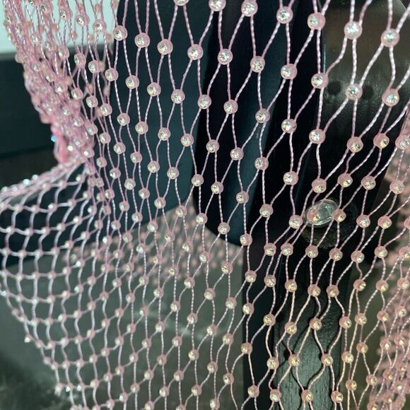 Endless Rose Embellished Mesh Overlay: Size Large NWT - Picture 4 of 11